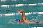Swimming vs Babson  Wheaton College Swimming vs Babson College. - Photo By: KEITH NORDSTROM : Wheaton, Swimming, Babson
